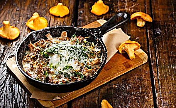 Sauce with chanterelles and sour cream: gravy, step by step recipes
