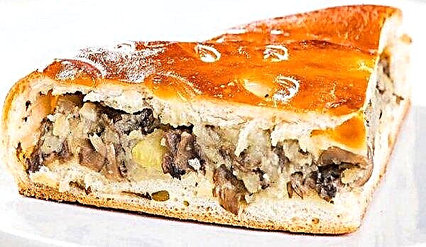Пиріг з грибами і картоплею: ​​рецепт з листкового тіста, з дріжджового тіста