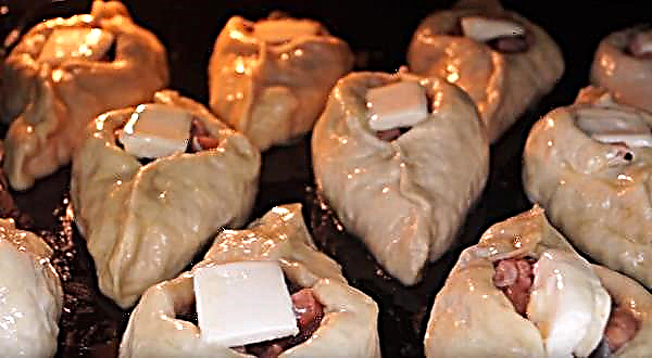 Pink Salmon Pie: Rezepte mit Fotos Schritt für Schritt, wie man aus Fisch und Hefeteig kocht, im Ofen pusten