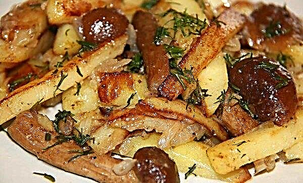 Fried honey mushrooms with potatoes: how to fry, a simple step by step cooking recipe with photos