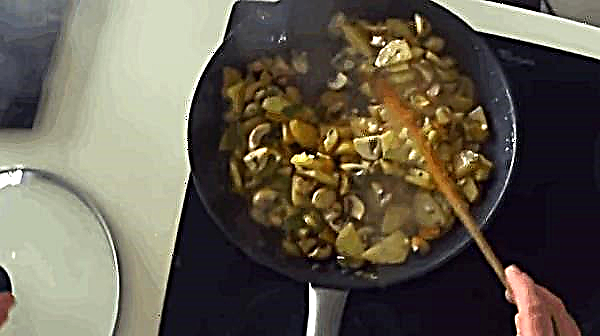 Cendawan champignon rebus: berapa banyak untuk rebus segar dan sejuk beku, kandungan kalori dan BJU champignon rebus, resipi