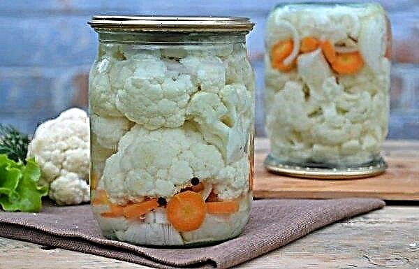 Cauliflower for the winter: the best recipes for stocking with photos, storage methods