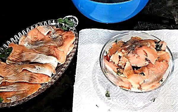 Kako nabirati roza losos v slanici: recepti za soljenje doma, kako okusno soliti z rezinami in narediti kumarico za hitro soljenje
