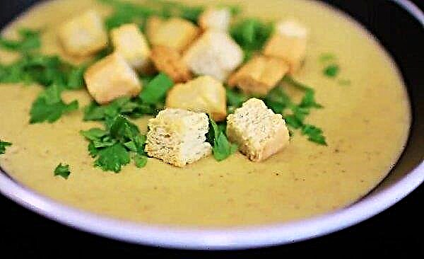 キノコのスープのピューレの作り方：写真付きのシンプルでおいしいステップバイステップのレシピ