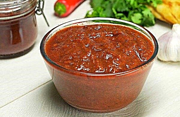Plum sauce: step-by-step recipes for winter preparations, storage features