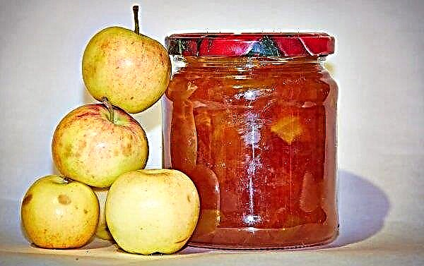 Apple jam: nutritional value, useful and harmful products, the best recipes, storage rules