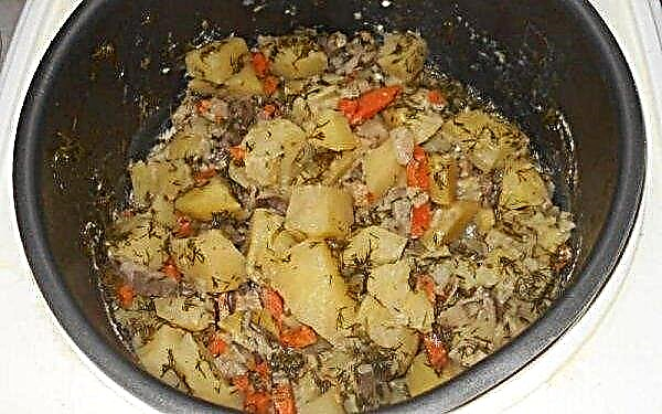 Champignons pleurotes avec pommes de terre dans une mijoteuse: une recette simple étape par étape pour cuisiner avec une photo