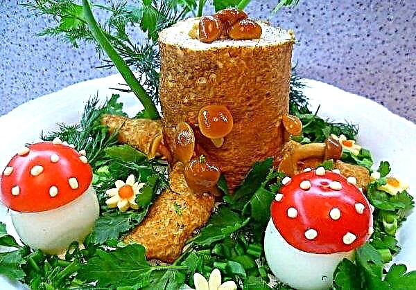Salat "Stump" med honningsvampe: trin for trin opskrifter