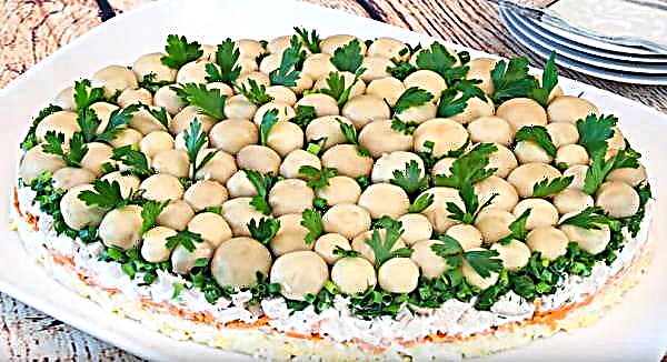 Salada de glade com cogumelos e champignon em conserva: uma receita simples e passo a passo para cozinhar com uma foto