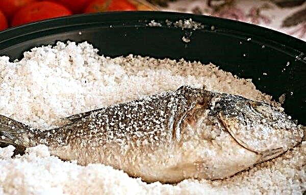 Recetas para hacer carpa cruciana: cómo cocinar deliciosos platos con pescado del Mar Negro, cocinar en el horno