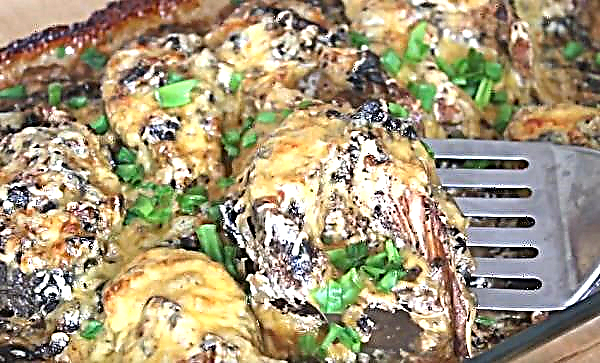 Rosa Lachs mit Pilzen und Käse im Ofen: mit Pilzen gebacken, wie man Fisch in saurer Sahne und Pilzsauce kocht, Rezepte mit Fotos