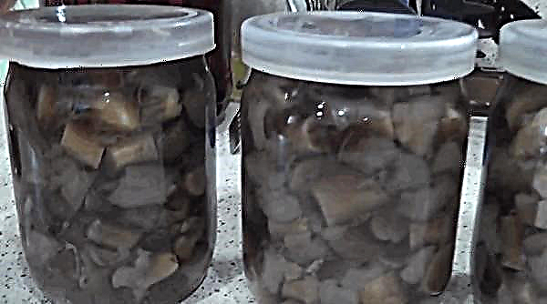 Pickled boletus and boletus: how to pickle mushrooms, for the winter, in jars, a recipe