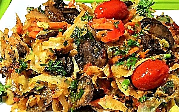 Fried porcini mushrooms: recipes without boiling and with preliminary boiling, with onions, with cheese, with egg, with wine