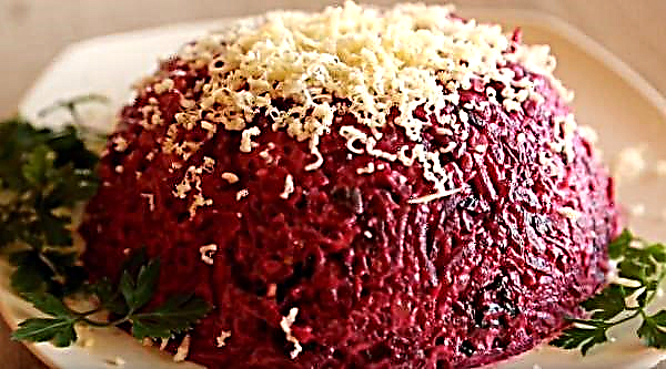 Beetroot salad with prunes, walnuts and cheese, the most delicious recipe