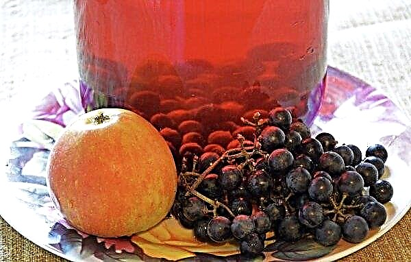 Compote de raisin noir: les recettes les plus populaires pour l'hiver, stockage à la maison