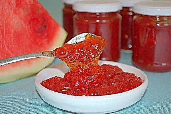 Wassermelonenmarmelade: Die besten Rezepte für Rohlinge mit Fotos, insbesondere für die Aufbewahrung zu Hause