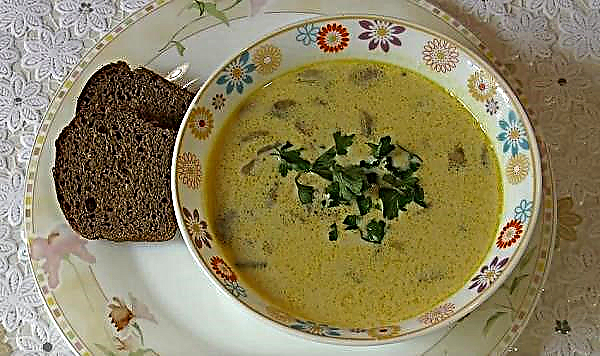 Kako narediti gobovo juho iz gob s kremnim sirom, preprost korak za korakom recept s fotografijami