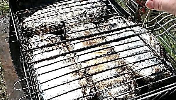 Crucian carp in foil: a step by step recipe with a photo, cooking on a fire, how to bake fish on a wire rack