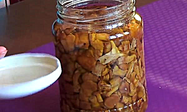 Crispy pickled chanterelles: cooking recipes, for the winter, in jars, with garlic, with vinegar