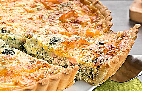 Quiche with pink salmon: recipes with photos, how to cook quiche from canned fish and broccoli, step by step cooking with mushrooms