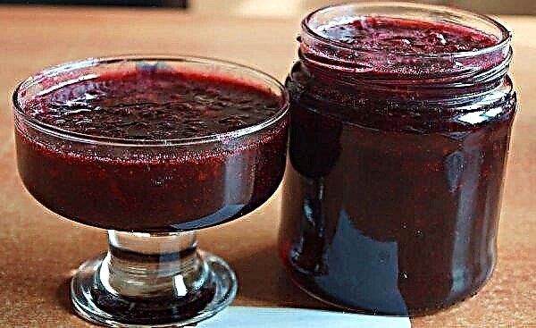 مربى Lingonberry للشتاء: فوائد ومضار ، وصفات محضرات lingonberry ، استخدام التوت المجمد