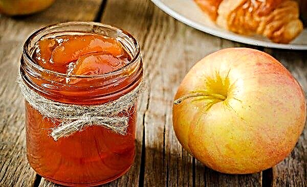 Limonlu elma reçeli: en lezzetli tarifler, depolama özellikleri