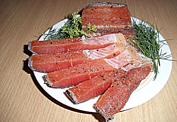 Comment saler le saumon rose après la congélation à la maison est savoureux et rapide: des recettes pour saler le poisson frais surgelé, est-il possible de saler la glace