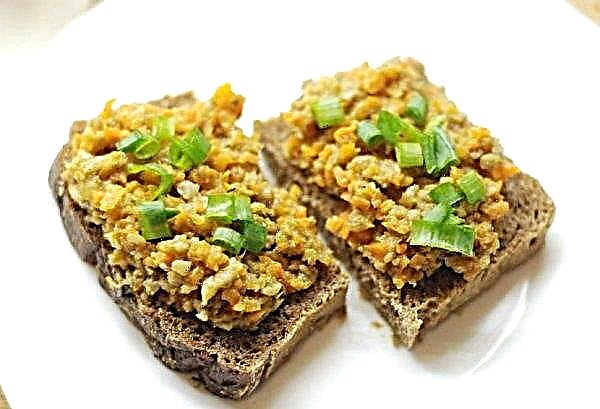 Pilzkaviar aus frischen Champignons: Rezepte zum Kochen zu Hause für den Winter