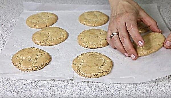 Mandelkuchen: das leckerste Rezept, zu Hause mit einem Foto kochen