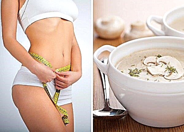 Soupe diététique à la crème de champignon: recettes de soupes en purée de champignons à faible teneur en calories, bonne nutrition