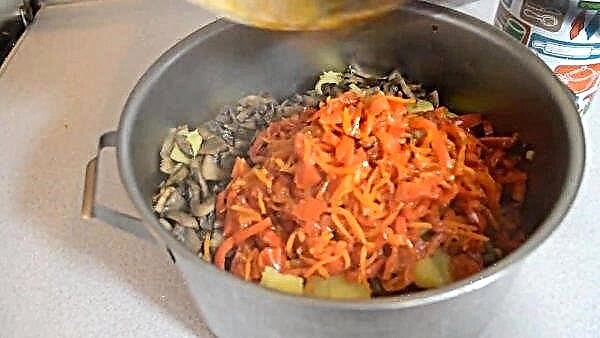 Kako kuhati zelenjavno enolončnico z gobami, preprost recept za kuhanje