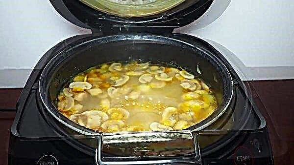 Wie man eine Suppe mit frischen Pilzen in einem Slow Cooker kocht, ein einfaches und leckeres Schritt-für-Schritt-Rezept mit einem Foto