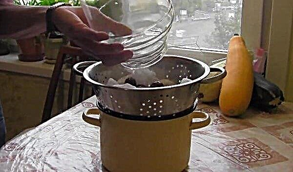 סליבוביצה (שמנת): מתכונים פשוטים לבישול בבית