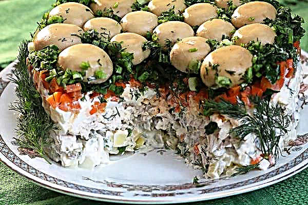 Salada de cogumelos: receitas simples e saborosas, sem carne, cogumelos frescos, salada de puff com cebola