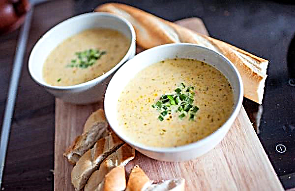 Soup from butter: recipe from fresh, dried and frozen, classic