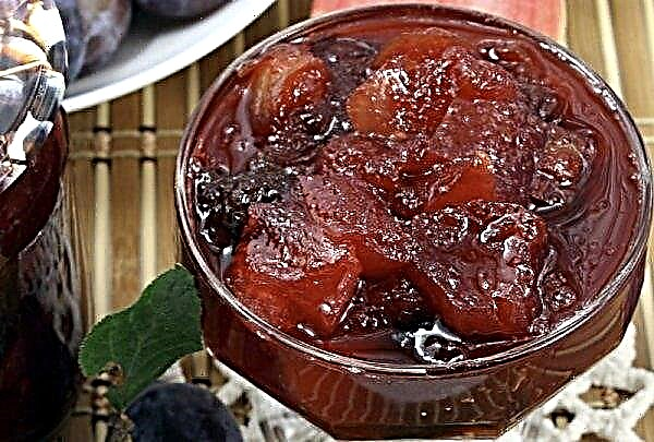 Apple-plum jam: the best recipes for winter preparations, storage features