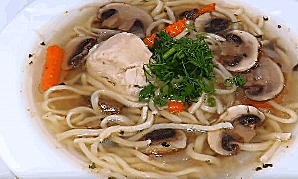 How to cook chicken soup with mushrooms and noodles: a simple step by step recipe with photos