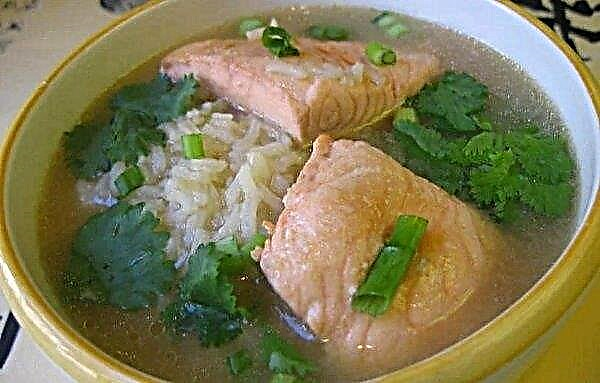 Рибний суп з горбуші: як зварити з картоплею і перловкою, покрокові рецепти з фото, скільки потрібно варити, як приготувати з свіжої та свіжомороженої