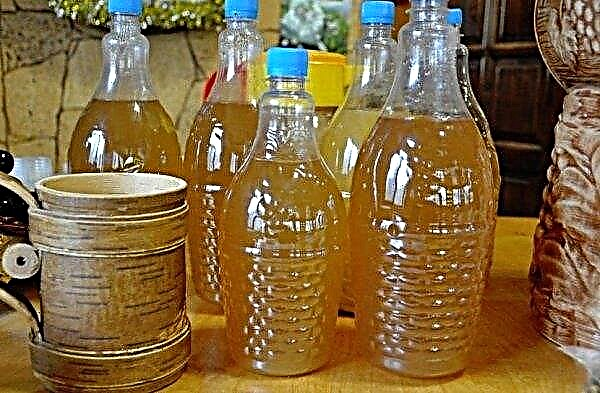 Mead on a perge without boiling: an old recipe for cooking at home