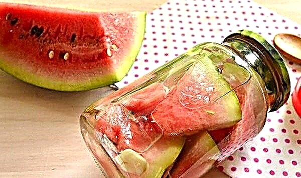 Watermelons for the winter with honey: delicious recipes with photos, storage features