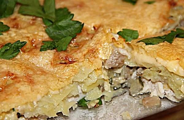 Gryta med svamp och potatis: recept i ugnen med ost, gräddfil, med kyckling