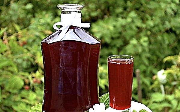 Cherry liqueur: on vodka, from juice, syrup, frozen cherry