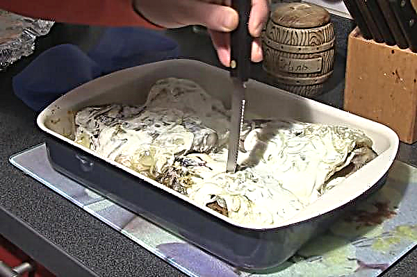 Ponty sazan: burgonyával és tejföllel sült, hogyan lehet finoman főzni tejfölös szószban, receptek fotókkal