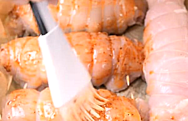 Kipfilet gevuld met champignons en kaas, in de oven en in een pan, foto, recept