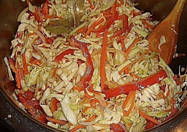 Λάχανο τουρσί με πιπέρι: οι πιο δημοφιλείς συνταγές για χειμερινά παρασκευάσματα, αποθήκευση στο σπίτι