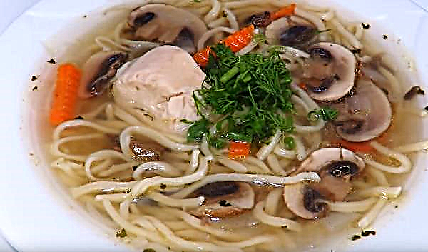 How to cook mushroom soup with mushrooms and noodles, a simple step-by-step recipe for a dish with a photo