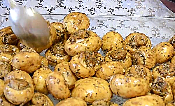 Sådan tilberedes svampe i sojasovs i ovnen som helhed, en enkel og velsmagende opskrift, med et foto