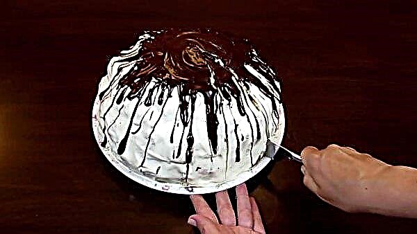 अनानास और अखरोट नुस्खा के साथ पान्चो केक: घर पर एक कदम से कदम नुस्खा