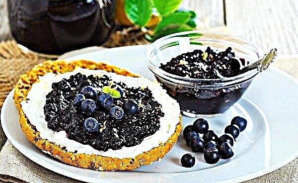 Cara membuat selai blueberry beku untuk musim dingin: resep lima menit, dengan mint dan bebas gula
