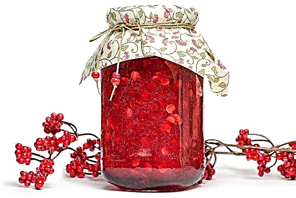 Rouge viorne: recettes simples pour l'hiver, récolter le viorne à la maison